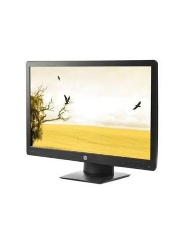 HP ProDisplay P240va