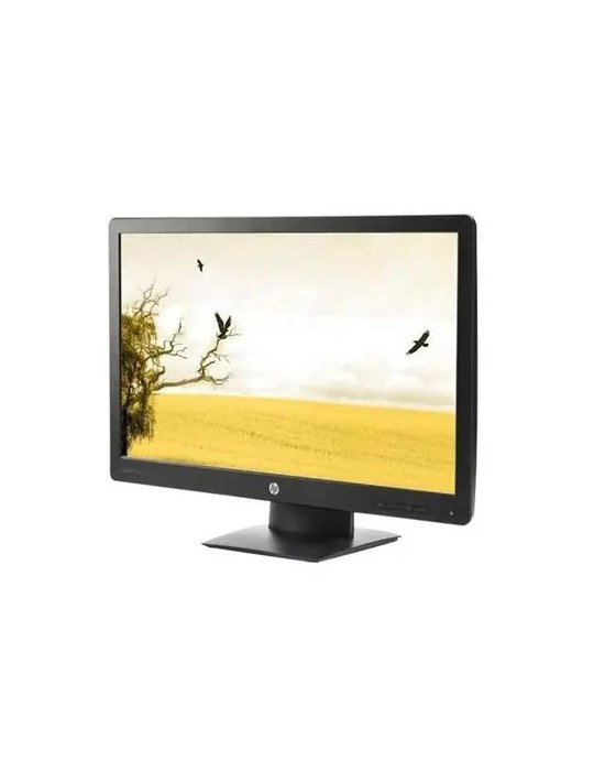 HP ProDisplay P240va